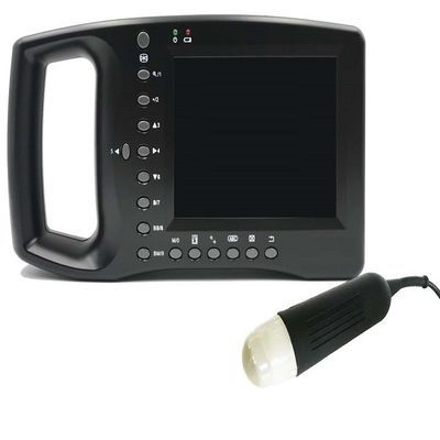 Купить Механическая Handheld ветеринарная машина ультразвука для беременности свинeй online manufacture